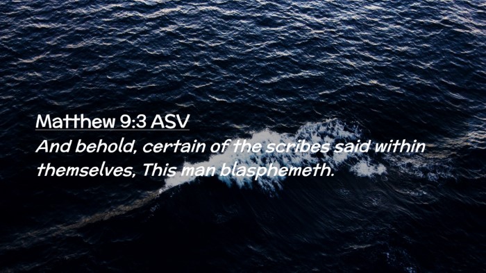 Picture 02 - Matthew 9:3 ASV Desktop Wallpaper - And behold, certain of the scribes said within - Desktop Bible Verse Wallpaper