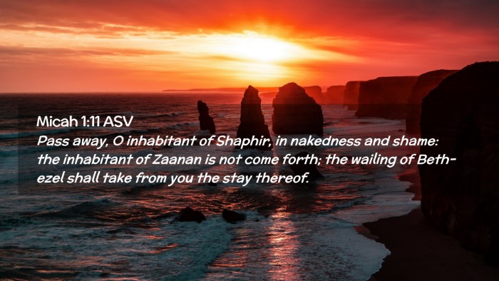 Picture 02 - Micah 1:11 ASV Desktop Wallpaper - Pass away, O inhabitant of Shaphir, in nakedness - Desktop Bible Verse Wallpaper
