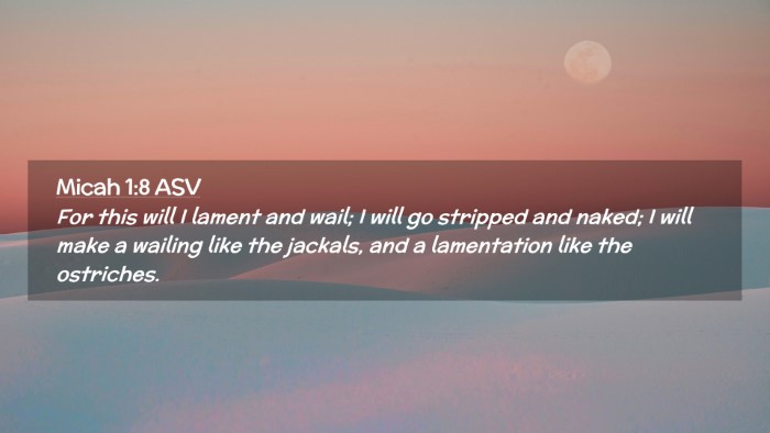 Picture 02 - Micah 1:8 ASV Desktop Wallpaper - For this will I lament and wail; I will go - Desktop Bible Verse Wallpaper