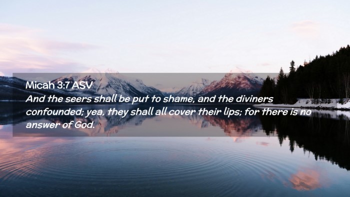 Picture 02 - Micah 3:7 ASV Desktop Wallpaper - And the seers shall be put to shame, and the - Desktop Bible Verse Wallpaper