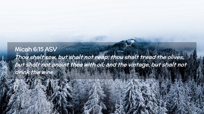 Picture 02 - Micah 6:15 ASV Desktop Wallpaper - Thou shalt sow, but shalt not reap; thou shalt - Desktop Bible Verse Wallpaper