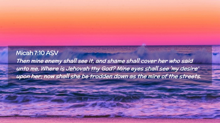 Picture 02 - Micah 7:10 ASV Desktop Wallpaper - Then mine enemy shall see it, and shame shall - Desktop Bible Verse Wallpaper
