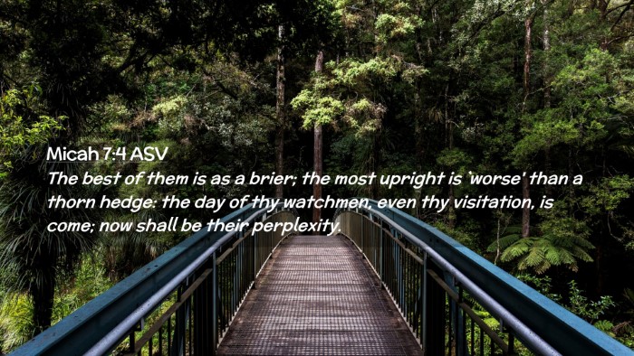 Picture 02 - Micah 7:4 ASV Desktop Wallpaper - The best of them is as a brier; the most upright - Desktop Bible Verse Wallpaper