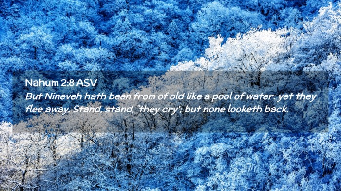Picture 02 - Nahum 2:8 ASV Desktop Wallpaper - But Nineveh hath been from of old like a pool of - Desktop Bible Verse Wallpaper