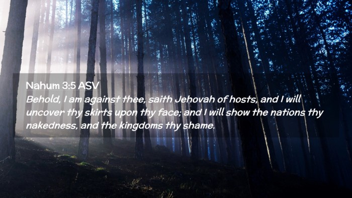 Picture 02 - Nahum 3:5 ASV Desktop Wallpaper - Behold, I am against thee, saith Jehovah of - Desktop Bible Verse Wallpaper