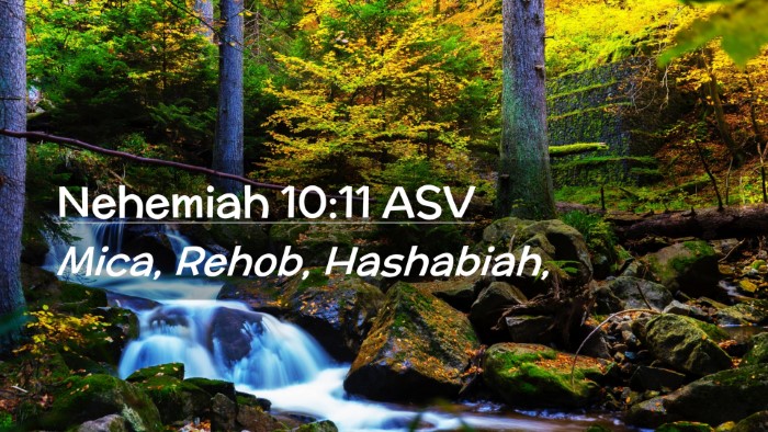 Picture 02 - Nehemiah 10:11 ASV Desktop Wallpaper - Mica, Rehob, - Desktop Bible Verse Wallpaper