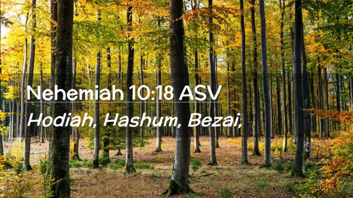 Picture 02 - Nehemiah 10:18 ASV Desktop Wallpaper - Hodiah, Hashum, - Desktop Bible Verse Wallpaper