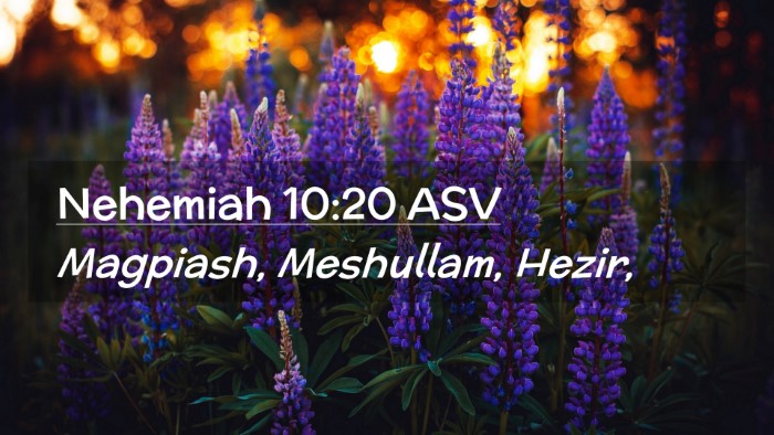 Picture 02 - Nehemiah 10:20 ASV Desktop Wallpaper - Magpiash, Meshullam, - Desktop Bible Verse Wallpaper