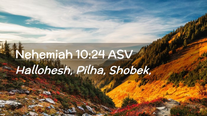 Picture 02 - Nehemiah 10:24 ASV Desktop Wallpaper - Hallohesh, Pilha, - Desktop Bible Verse Wallpaper