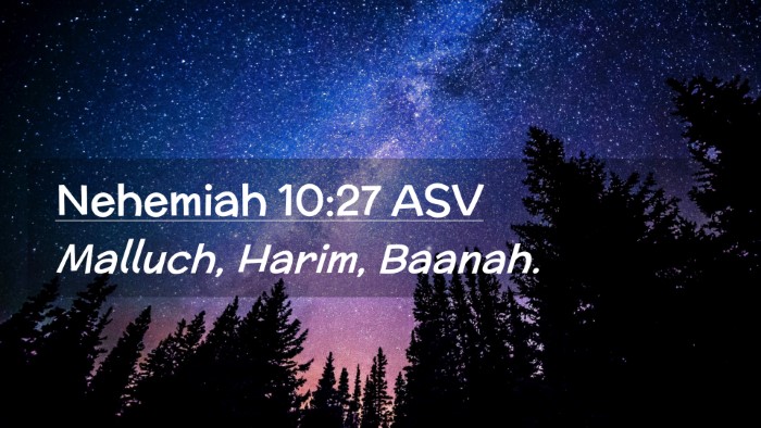 Picture 02 - Nehemiah 10:27 ASV Desktop Wallpaper - Malluch, Harim, - Desktop Bible Verse Wallpaper