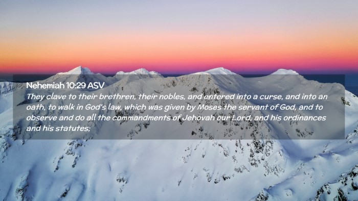 Picture 02 - Nehemiah 10:29 ASV Desktop Wallpaper - They clave to their brethren, their nobles, and - Desktop Bible Verse Wallpaper