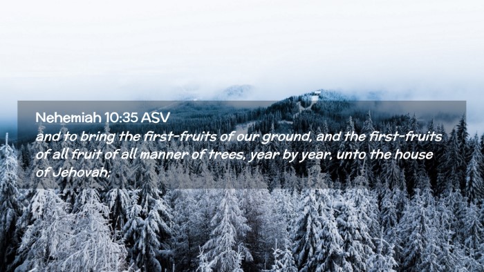 Picture 02 - Nehemiah 10:35 ASV Desktop Wallpaper - and to bring the first-fruits of our ground, and - Desktop Bible Verse Wallpaper