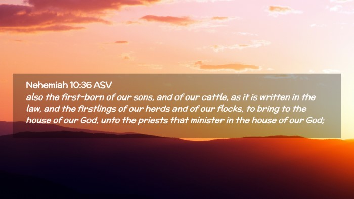 Picture 02 - Nehemiah 10:36 ASV Desktop Wallpaper - also the first-born of our sons, and of our - Desktop Bible Verse Wallpaper