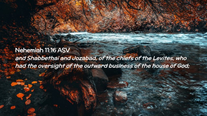 Picture 02 - Nehemiah 11:16 ASV Desktop Wallpaper - and Shabbethai and Jozabad, of the chiefs of the - Desktop Bible Verse Wallpaper