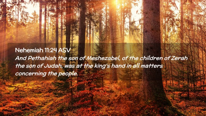 Picture 02 - Nehemiah 11:24 ASV Desktop Wallpaper - And Pethahiah the son of Meshezabel, of the - Desktop Bible Verse Wallpaper