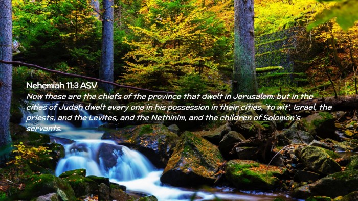 Picture 02 - Nehemiah 11:3 ASV Desktop Wallpaper - Now these are the chiefs of the province that - Desktop Bible Verse Wallpaper
