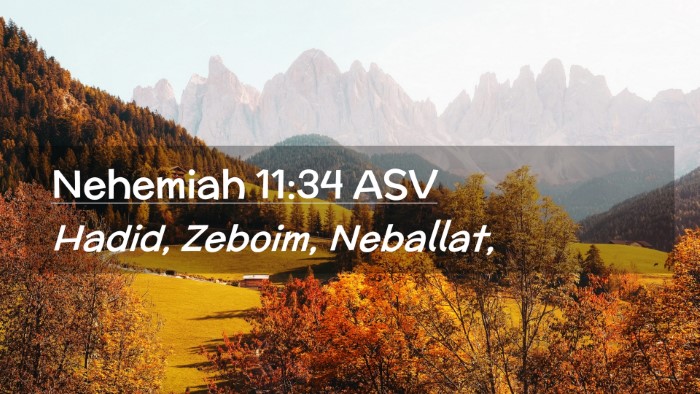 Picture 02 - Nehemiah 11:34 ASV Desktop Wallpaper - Hadid, Zeboim, - Desktop Bible Verse Wallpaper