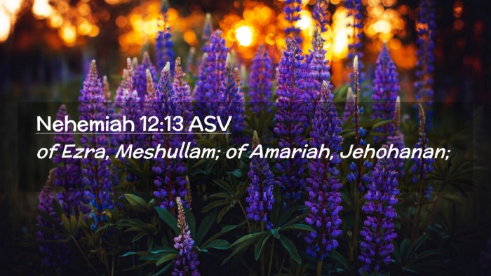 Picture 02 - Nehemiah 12:13 ASV Desktop Wallpaper - of Ezra, Meshullam; of Amariah, - Desktop Bible Verse Wallpaper