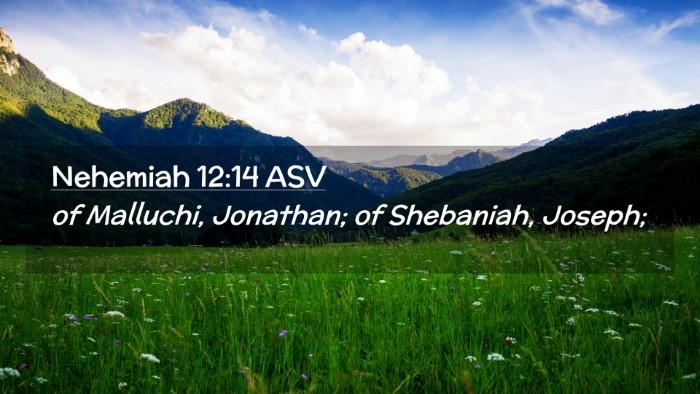 Picture 02 - Nehemiah 12:14 ASV Desktop Wallpaper - of Malluchi, Jonathan; of Shebaniah, - Desktop Bible Verse Wallpaper