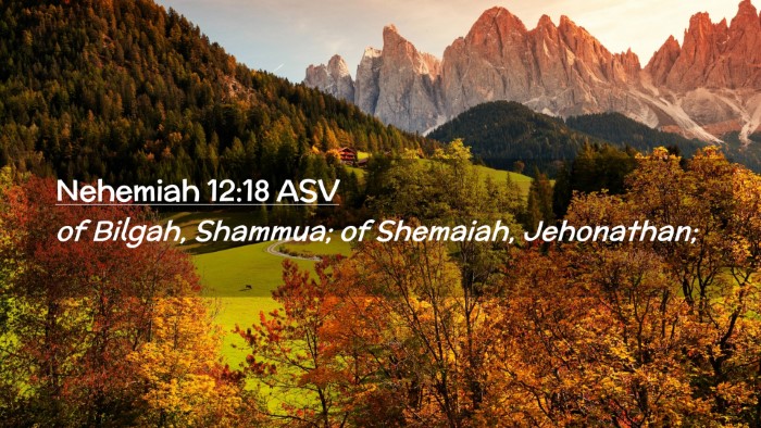 Picture 02 - Nehemiah 12:18 ASV Desktop Wallpaper - of Bilgah, Shammua; of Shemaiah, - Desktop Bible Verse Wallpaper