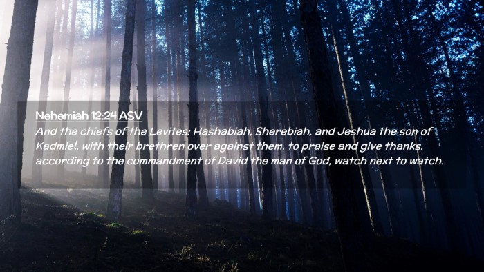 Picture 02 - Nehemiah 12:24 ASV Desktop Wallpaper - And the chiefs of the Levites: Hashabiah, - Desktop Bible Verse Wallpaper