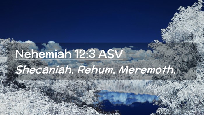 Picture 02 - Nehemiah 12:3 ASV Desktop Wallpaper - Shecaniah, Rehum, - Desktop Bible Verse Wallpaper