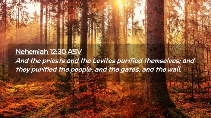Picture 02 - Nehemiah 12:30 ASV Desktop Wallpaper - And the priests and the Levites purified - Desktop Bible Verse Wallpaper