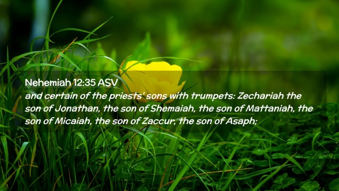 Picture 02 - Nehemiah 12:35 ASV Desktop Wallpaper - and certain of the priests' sons with trumpets: - Desktop Bible Verse Wallpaper