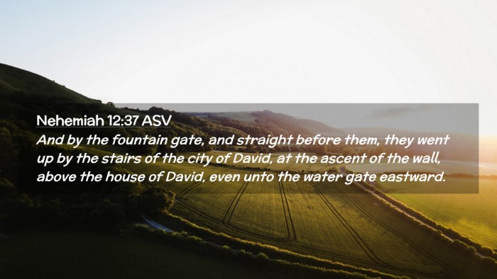 Picture 02 - Nehemiah 12:37 ASV Desktop Wallpaper - And by the fountain gate, and straight before - Desktop Bible Verse Wallpaper
