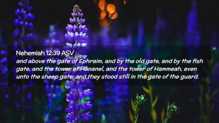 Picture 02 - Nehemiah 12:39 ASV Desktop Wallpaper - and above the gate of Ephraim, and by the old - Desktop Bible Verse Wallpaper