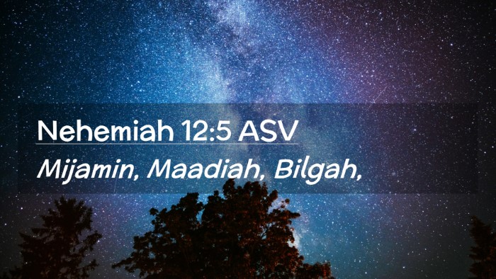 Picture 02 - Nehemiah 12:5 ASV Desktop Wallpaper - Mijamin, Maadiah, - Desktop Bible Verse Wallpaper