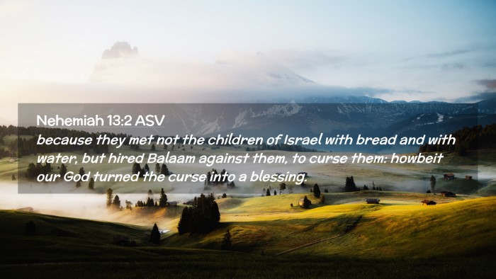 Picture 02 - Nehemiah 13:2 ASV Desktop Wallpaper - because they met not the children of Israel with - Desktop Bible Verse Wallpaper