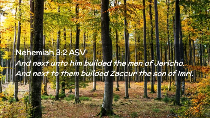 Picture 02 - Nehemiah 3:2 ASV Desktop Wallpaper - And next unto him builded the men of Jericho. And - Desktop Bible Verse Wallpaper