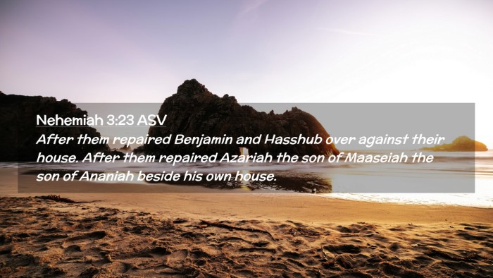 Picture 02 - Nehemiah 3:23 ASV Desktop Wallpaper - After them repaired Benjamin and Hasshub over - Desktop Bible Verse Wallpaper