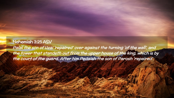 Picture 02 - Nehemiah 3:25 ASV Desktop Wallpaper - Palal the son of Uzai `repaired' over against the - Desktop Bible Verse Wallpaper
