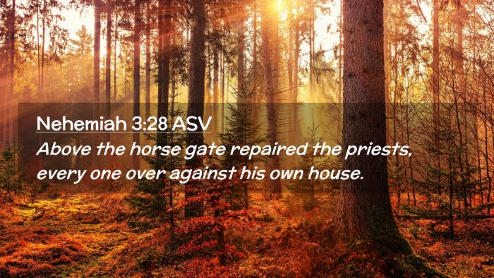 Picture 02 - Nehemiah 3:28 ASV Desktop Wallpaper - Above the horse gate repaired the priests, every - Desktop Bible Verse Wallpaper