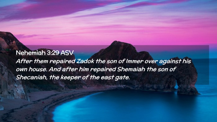 Picture 02 - Nehemiah 3:29 ASV Desktop Wallpaper - After them repaired Zadok the son of Immer over - Desktop Bible Verse Wallpaper