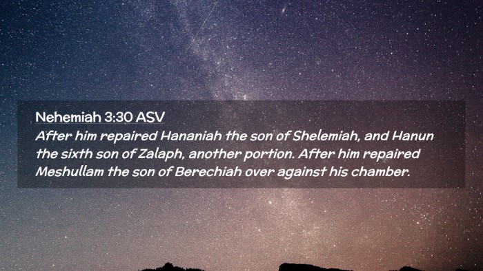 Picture 02 - Nehemiah 3:30 ASV Desktop Wallpaper - After him repaired Hananiah the son of Shelemiah, - Desktop Bible Verse Wallpaper