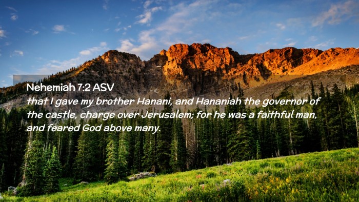 Picture 02 - Nehemiah 7:2 ASV Desktop Wallpaper - that I gave my brother Hanani, and Hananiah the - Desktop Bible Verse Wallpaper