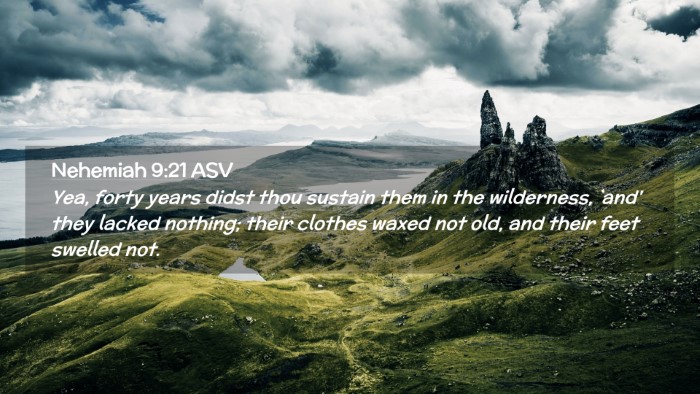 Picture 02 - Nehemiah 9:21 ASV Desktop Wallpaper - Yea, forty years didst thou sustain them in the - Desktop Bible Verse Wallpaper