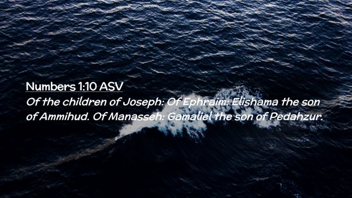 Picture 02 - Numbers 1:10 ASV Desktop Wallpaper - Of the children of Joseph: Of Ephraim: Elishama - Desktop Bible Verse Wallpaper