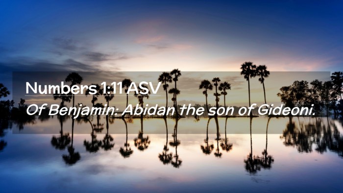 Picture 02 - Numbers 1:11 ASV Desktop Wallpaper - Of Benjamin: Abidan the son of - Desktop Bible Verse Wallpaper