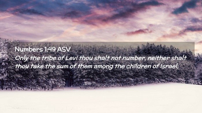 Picture 02 - Numbers 1:49 ASV Desktop Wallpaper - Only the tribe of Levi thou shalt not number, - Desktop Bible Verse Wallpaper