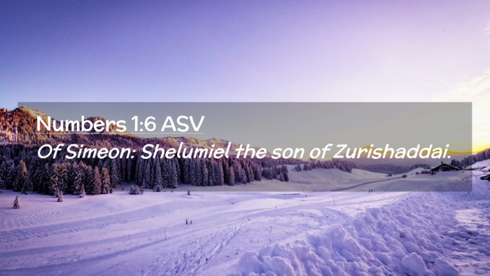 Picture 02 - Numbers 1:6 ASV Desktop Wallpaper - Of Simeon: Shelumiel the son of - Desktop Bible Verse Wallpaper