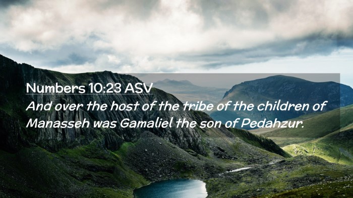 Picture 02 - Numbers 10:23 ASV Desktop Wallpaper - And over the host of the tribe of the children of - Desktop Bible Verse Wallpaper