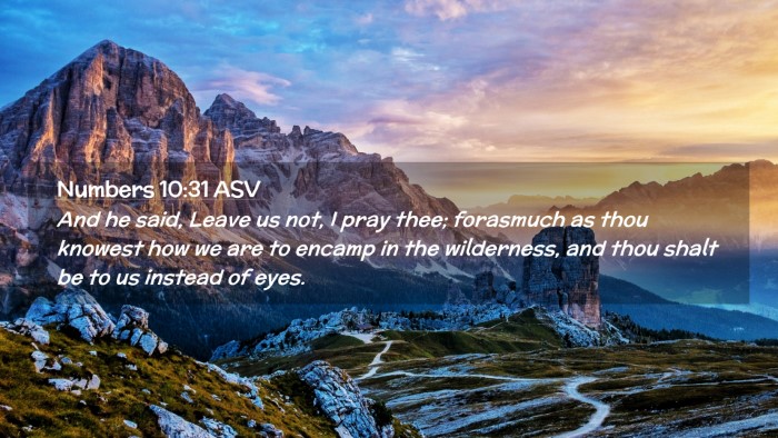 Picture 02 - Numbers 10:31 ASV Desktop Wallpaper - And he said, Leave us not, I pray thee; forasmuch - Desktop Bible Verse Wallpaper
