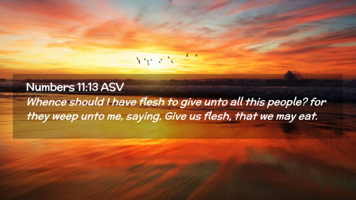 Picture 02 - Numbers 11:13 ASV Desktop Wallpaper - Whence should I have flesh to give unto all this - Desktop Bible Verse Wallpaper