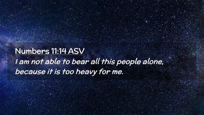 Picture 02 - Numbers 11:14 ASV Desktop Wallpaper - I am not able to bear all this people alone, - Desktop Bible Verse Wallpaper