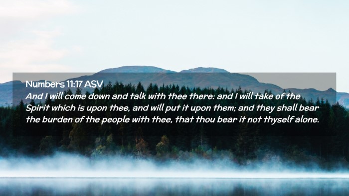 Picture 02 - Numbers 11:17 ASV Desktop Wallpaper - And I will come down and talk with thee there: - Desktop Bible Verse Wallpaper