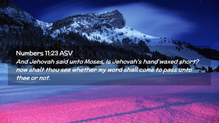 Picture 02 - Numbers 11:23 ASV Desktop Wallpaper - And Jehovah said unto Moses, Is Jehovah's hand - Desktop Bible Verse Wallpaper